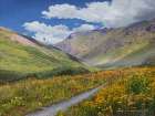 Above Timberline Art Print