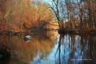 Assabet River View_ Art Print