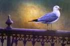 Gull on Wrought-iron Rail Art Deco Print