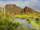 Lupines Amid Sagauros Art Print