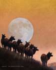 Hillside Elk, Moonrise Art Print