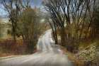 Road Thru Gulch Art Print