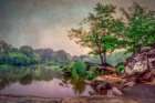 Mist over Lake Art Print