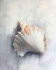 Oceans Treasure V Art Print