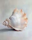 Oceans Treasure VI Art Print