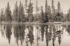 Still Waters on Alpine Lake Art Print
