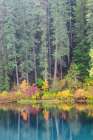 Shores of Clear Lake Art Print