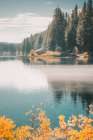 Morning Fog on Clear Lake Art Print
