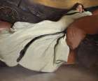 Repose 1895 Art Print