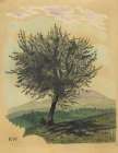 Laubbaum in Landschaft 1924 Art Print