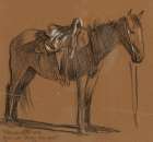 Horse Study 1905 Art Print