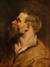 Head of a Bearded Man 1620 Art Print