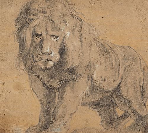Lion 1612 Renaissance Print