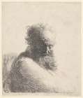 Bust of an Old Bearded Man Looking Down 1631 Art Print