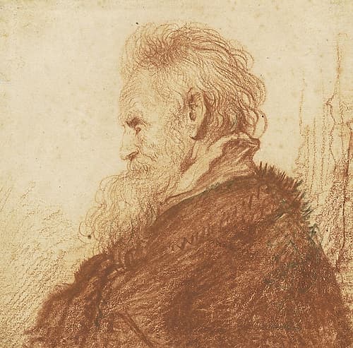 Head of an Old Man 1631 Classical Print