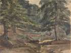 Wooded River Scene Art Print