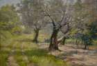 The Olive Grove 1910 Art Print