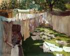 Wash Day Back Yard Reminiscence of Brooklyn 1886 Art Print