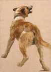 Study of the Dog for Man and its Guide Art Print