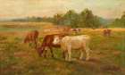 Cows Art Print