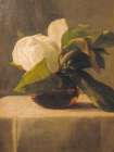 Magnolia 1860 Art Print