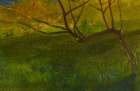 Study Of Apple Tree. Spring 1861 Art Print