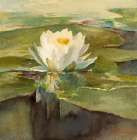 Water Lily in Sunlight ca 1883 Art Print