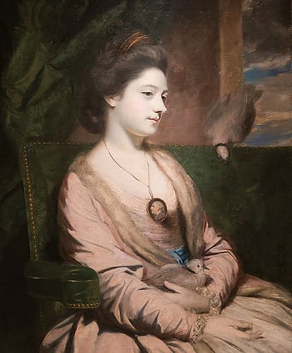 Kitty Fisher 1764 Art Print by Joshua Reynolds