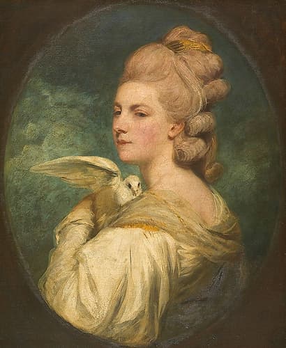 Mrs Mary Nesbitt 1781 Art Print by Graham Reynolds