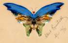 Blue Butterfly 1896 Art Print