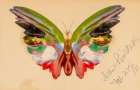 Butterfly 1891 Art Print