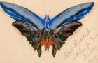 Butterfly, For Dell 1897 Art Print