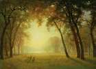 Deer in a Clearing, Yosemite Art Print