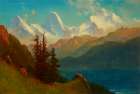 Splendor Art Print