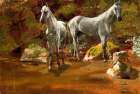 Study of Wild Horses Art Print