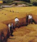 The Corn Harvest detail 1565 Art Print