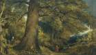 A Young Girl In A Woodland Landscape Art Print