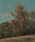 Study of an Ash Tree 1801 Art Print