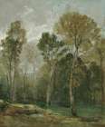 View Of A Copse Art Print
