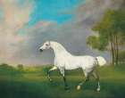 A Grey Horse 1793 Art Print