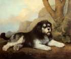 A Rough Dog 1790 Art Print