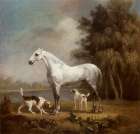 Dapple Grey Hunter and Foxhounds ca 1765 Art Print