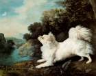 Dog and Butterfly 1775 Art Print