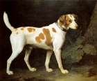 Dog Belonging to Earl of Chatham 1777 Art Print