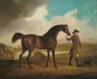 Earl Grosvenors Bandy Art Print