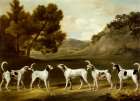 Five Staghounds in Landscape ca 1760 Art Print
