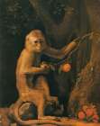 Green Monkey 1798 Art Print