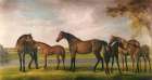 Horses Disturbed by Storm 1764 Art Print