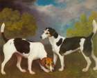 Hound and Bitch in Landscape 1792 Art Print