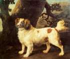 Lemon and White Spaniel 1784 Art Print